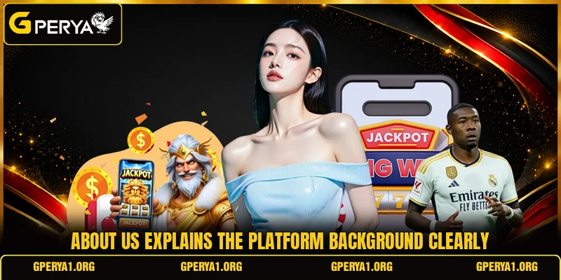 About us explains the platform background clearly