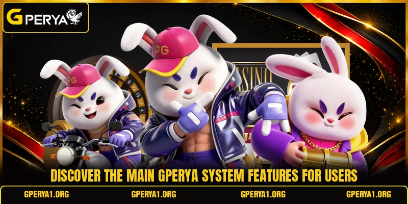 Discover the main GPERYA system features for users