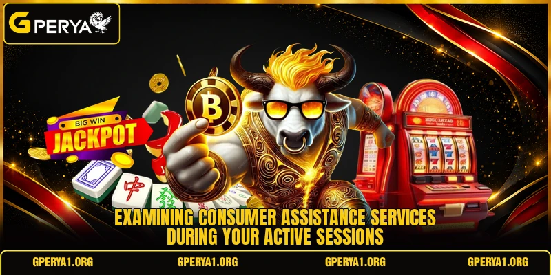 Examining consumer assistance services during your active sessions