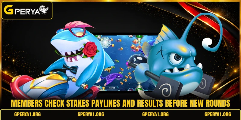 Members check stakes paylines and results before new rounds